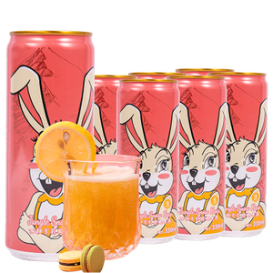 Fabrika handizkako 330ml 500ml Etiketa pribatua Artisautza Fruta Zapore Garagardoa Edari alkoholdunak 